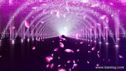 驻马店专业庆典策划礼仪公司
