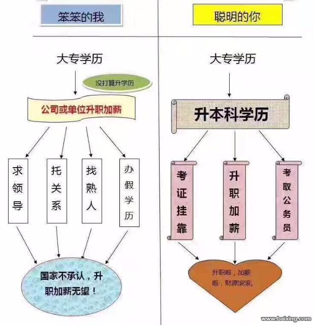 提升学历不再是想象